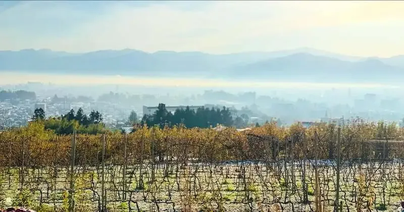 長野ブルワリー、周年祭第4弾でSAKE ARTとの体験イベント開催