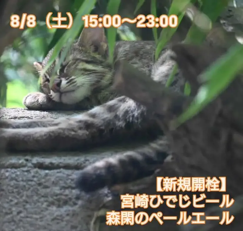 Beer Pub ねことあざらし、8月8日タップリストで森閑のペールエール開栓