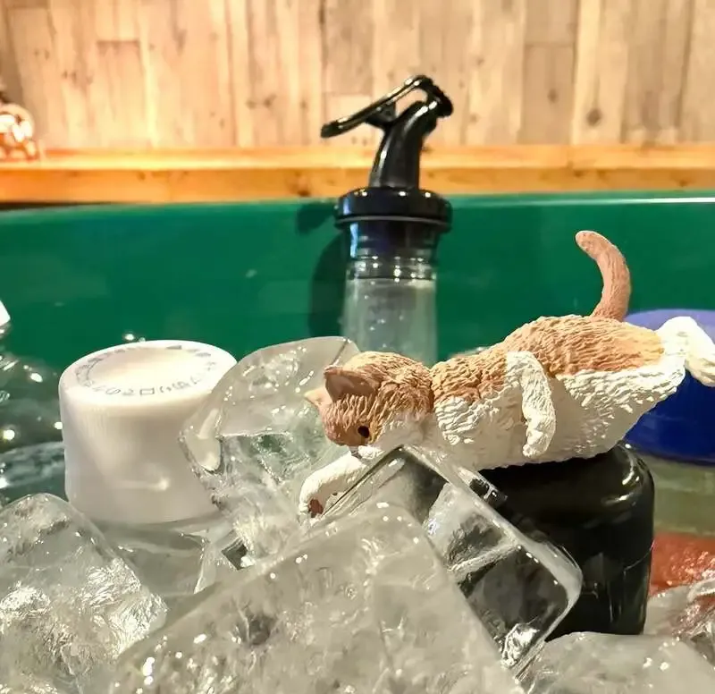 クラフトビアスポット ハトホルで『京橋ヘレス〜執行猶予〜』『鬼角TY』を開栓