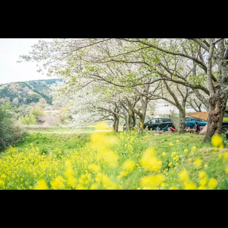 ベアード・ブルワリーガーデン修善寺、9％の新作『無礼講時間ストロングゴールデンエール』を4月1日発売