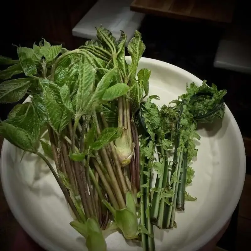 TBE Brewing、4月20日のKEGラインアップ公開　国内外10樽とNEXT TAP 4樽