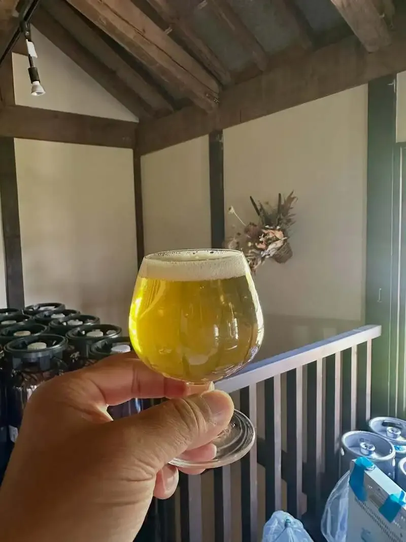 RIOT BEER Pre-Taps "Hyuganatsu Pilsner" on May 27 for the Oedo Beer Festival in Nakano