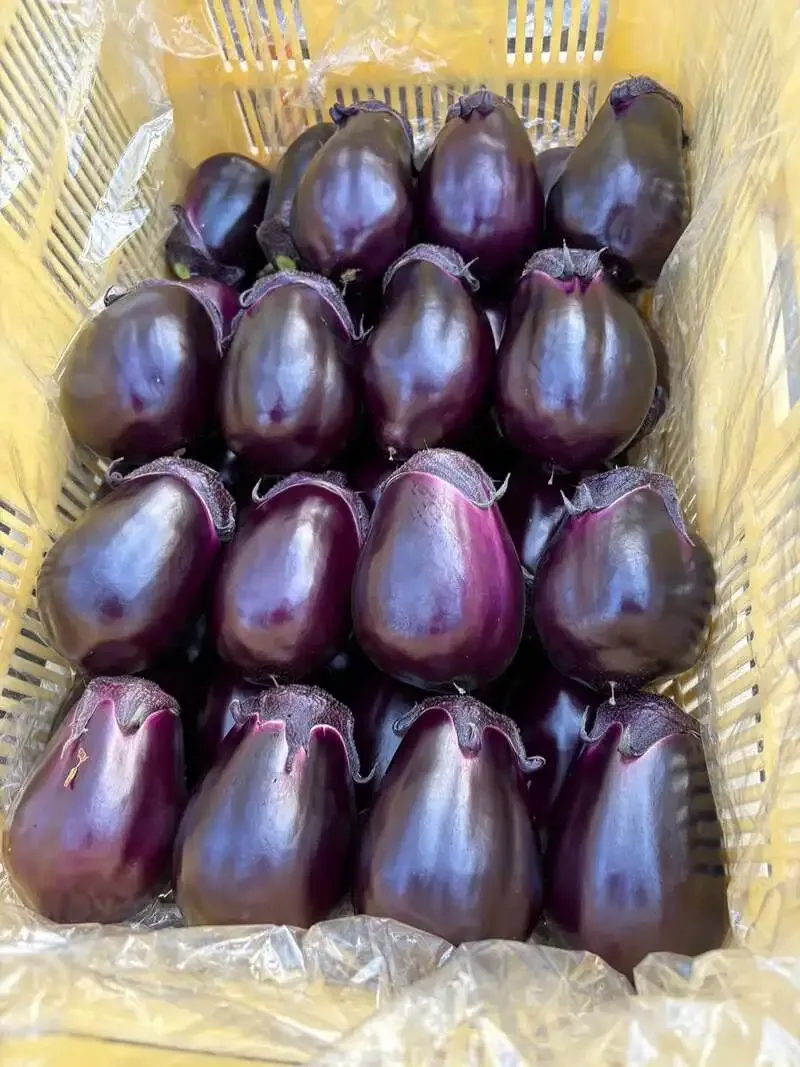 横浜ベイブルーイング関内本店、WORLD BEER CUP受賞作を含む14種を提供