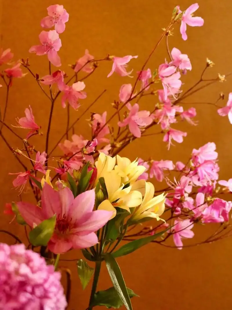 京都・麥酒 夢詠ミ、Instagramで「京七味チーズラクス」案内のタップリスト投稿