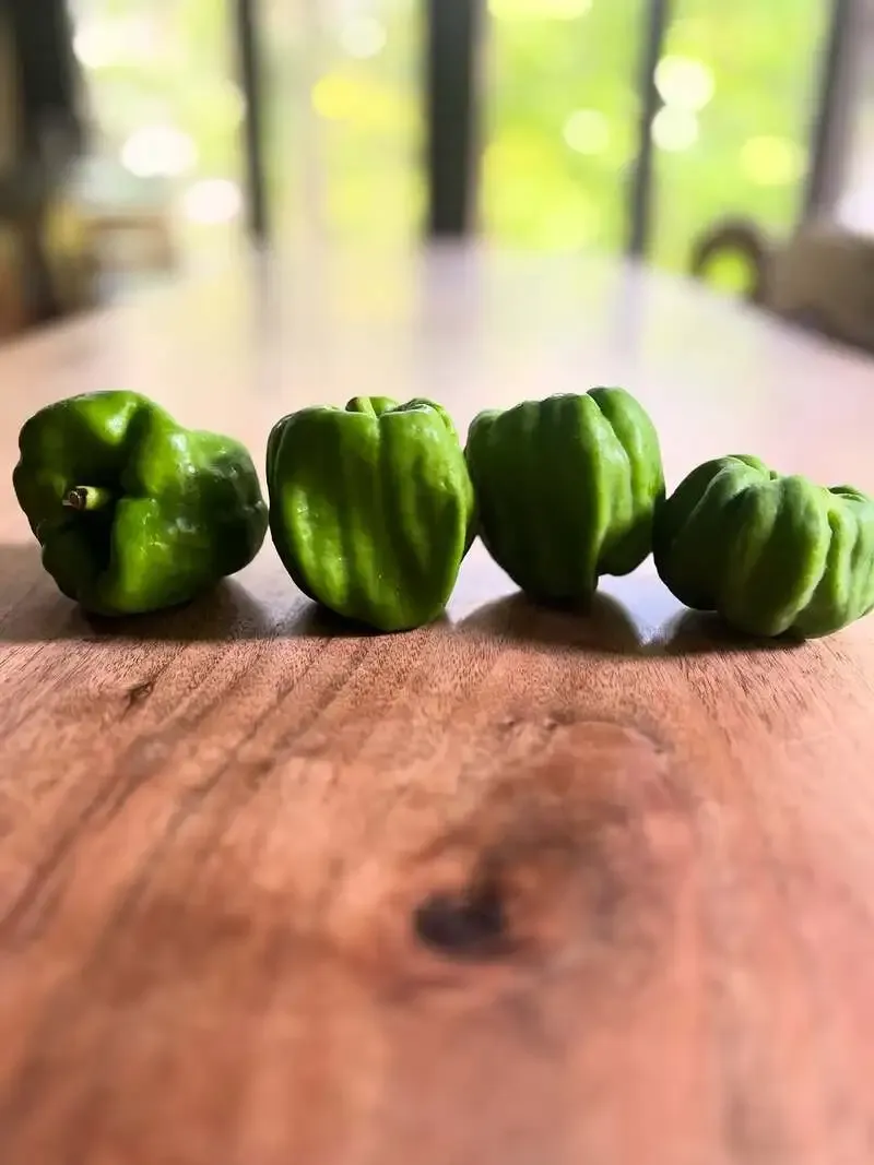 THE FARMHOUSE、北信の伝統野菜ぼたんこしょうを使った季節の一皿を紹介