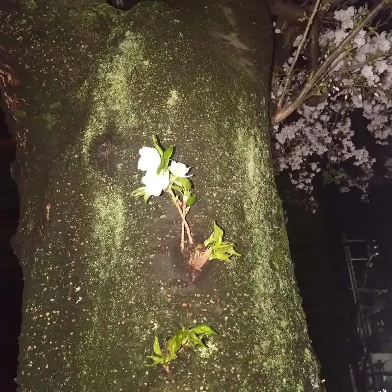 Craft beer kitchen 心の月、4月2日の営業で6種のタップリストを公開