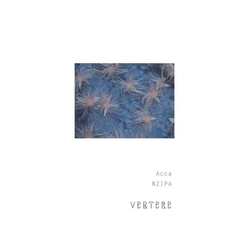PORT LUCK CLUBにVERTERE『Acca』が新規開栓、NZ IPA表記のHAZY IPA
