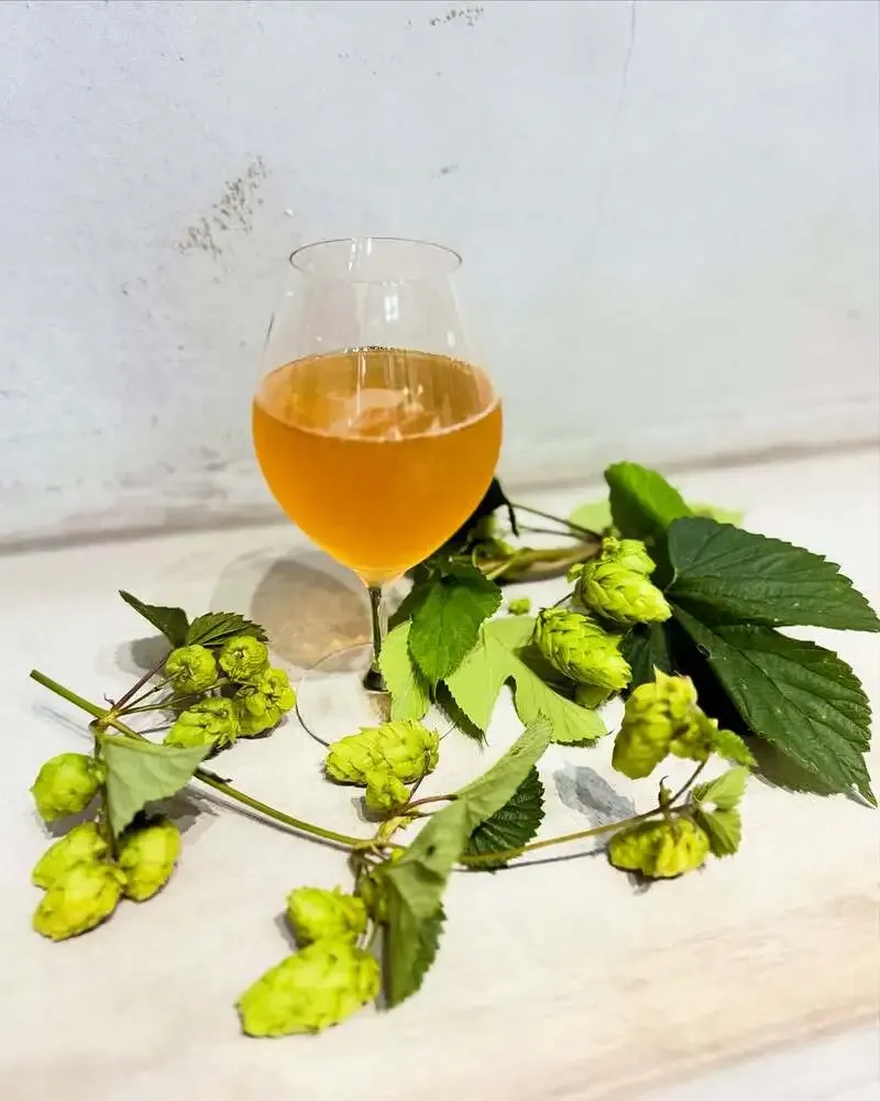 富士吉田のBRIGHT BLUE BREWING、朝採れホップと5種のタップリストを案内