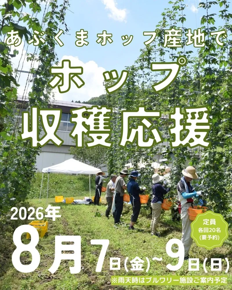 都路ホップガーデンブルワリー、8月のホップ収穫応援2026参加者を募集