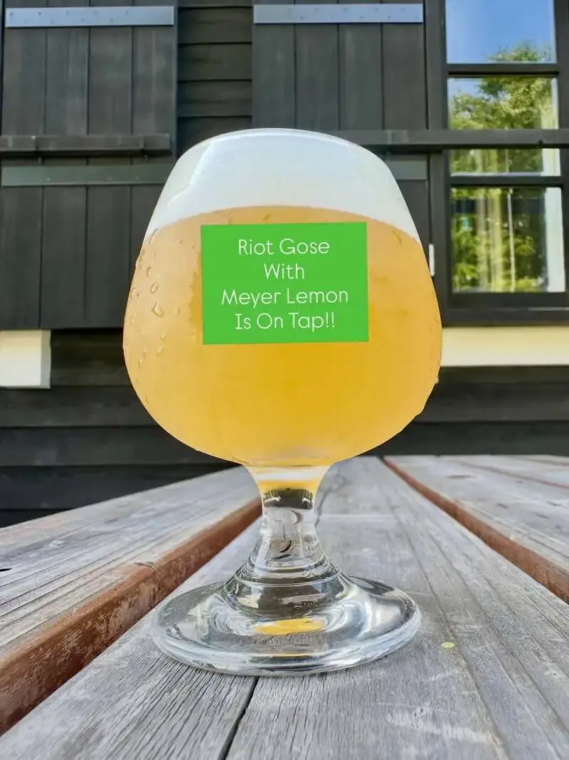 RIOT BEER to tap Meyer lemon RIOT GOSE on July 17