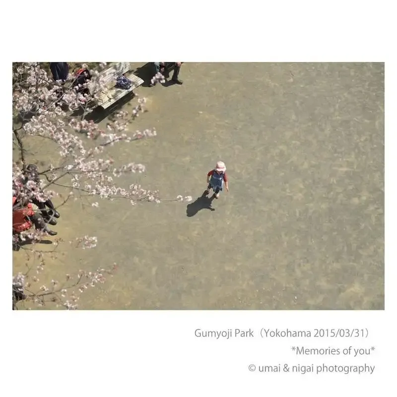 葉山の15brewery、3月28日は5種を量り売り　Wheat Landなど提供