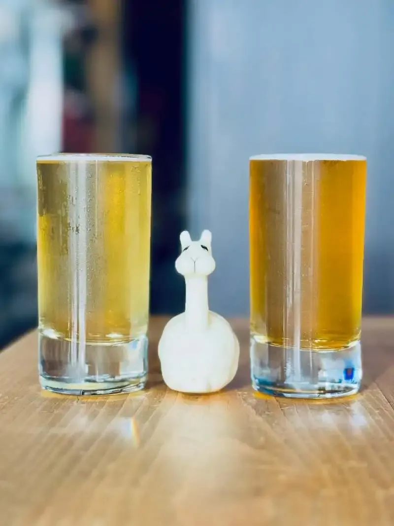 三鷹のBeer shop Llamaで志賀高原ビール『from scratch』とKUNITACHI『株』が開栓