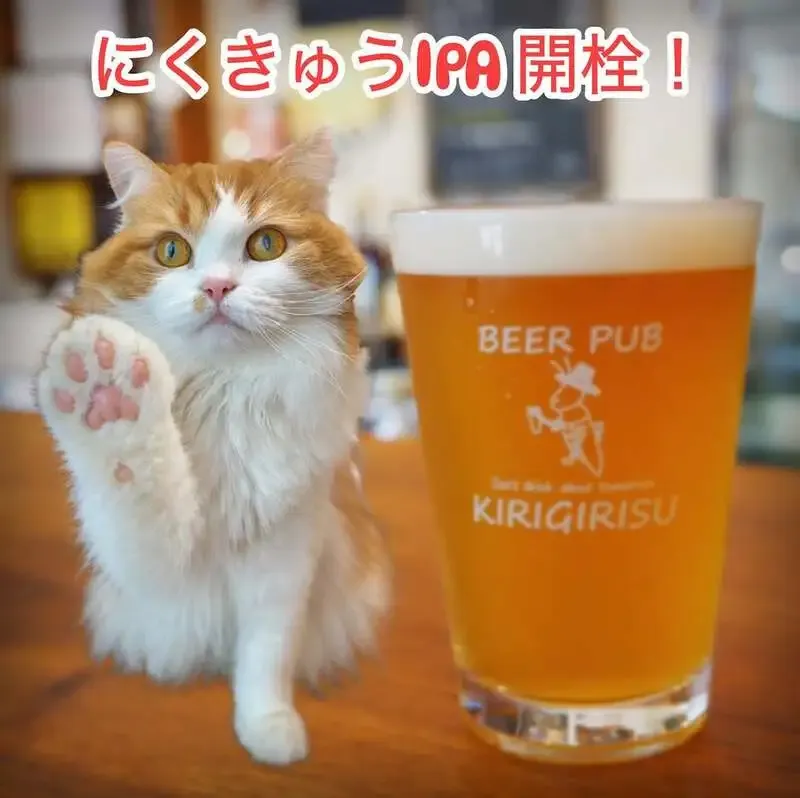 高島平のビアパブ キリギリスでうしとらBrut IPAとPunk IPAが登場