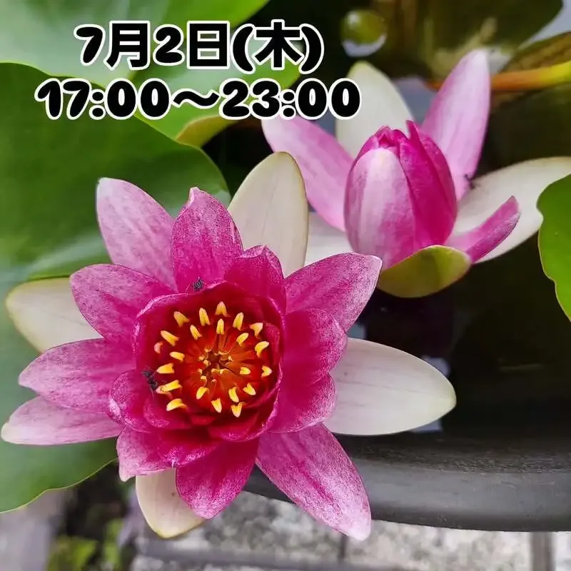 BEER HUNTING URAWA、7月2日にKaruizawa Qの「Lazy Afternoon」を開栓