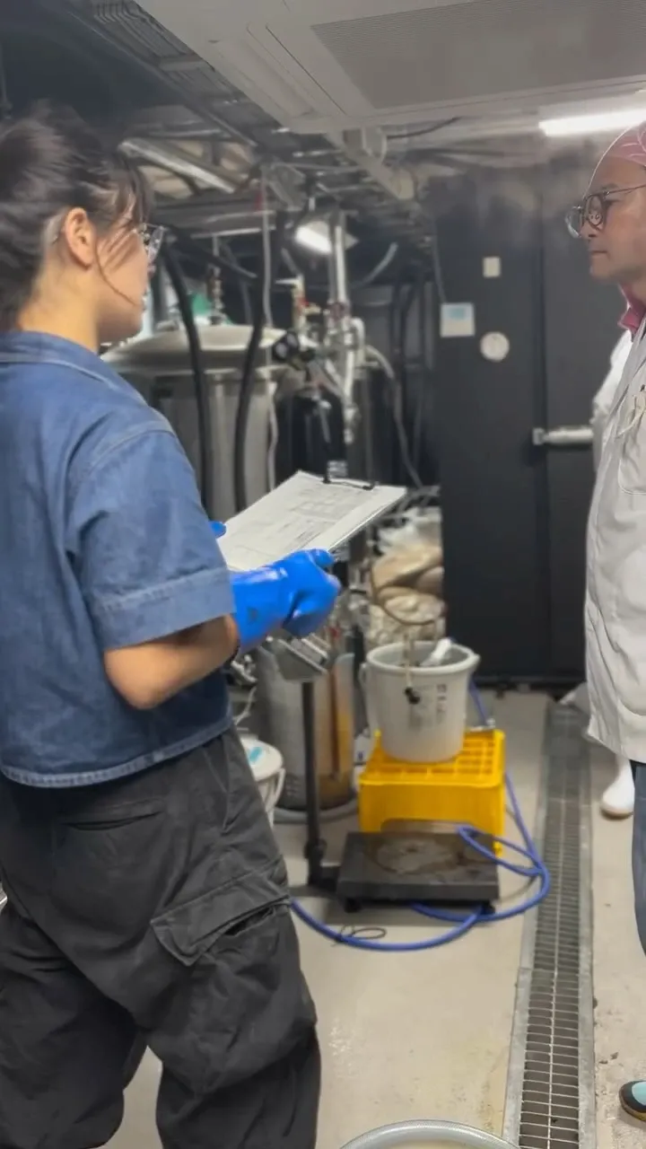 Torii-do Brewery Starts Brewing a Collaborative Beer Using Sake Lees from Maenikko Brewery