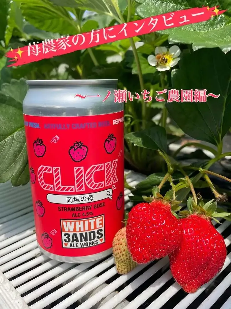 フクオカクラフトブルーイング、岡垣の苺農家と作る『CLICK Strawberry Gose』を紹介