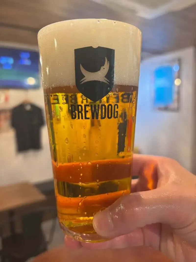 LANA beer Serves BREWDOG and Two Yokohama Beer Picks Ahead of the Typhoon