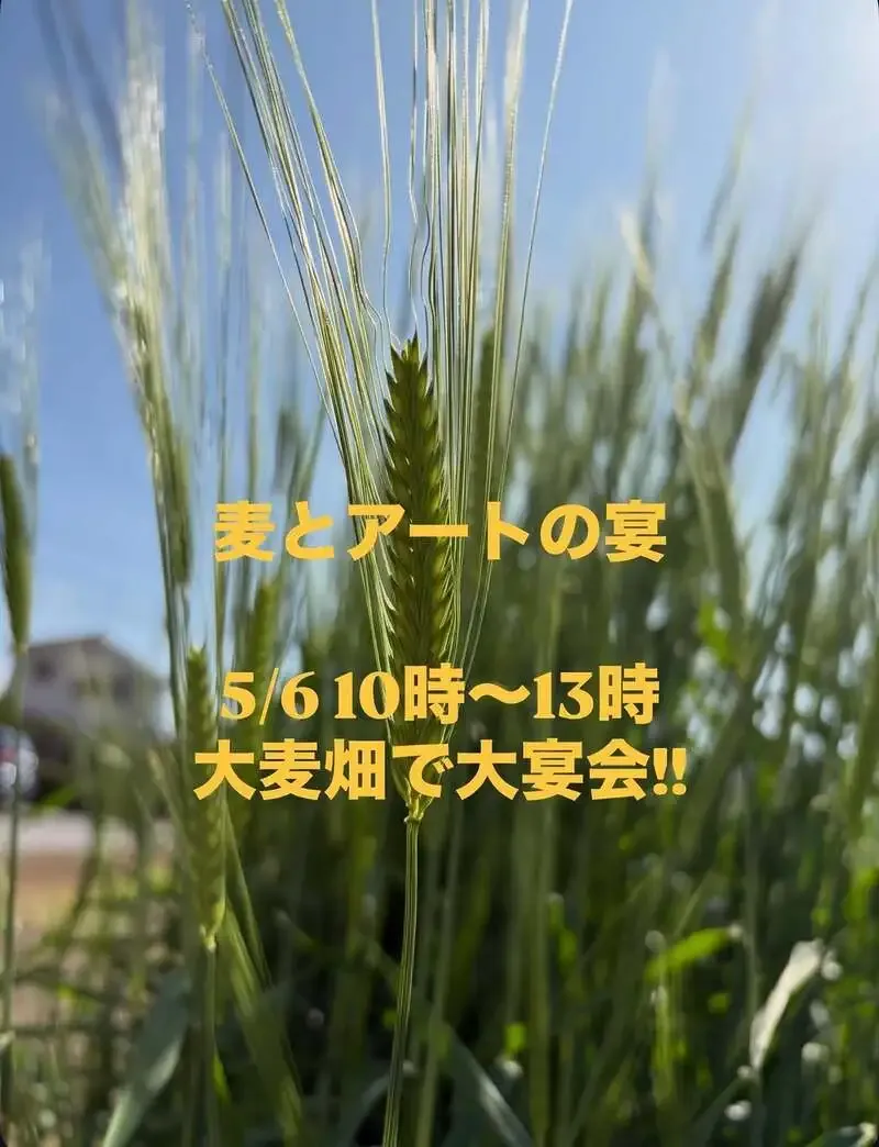 籠屋ブルワリー、5月6日に本店裏の大麦畑で体験型イベント開催