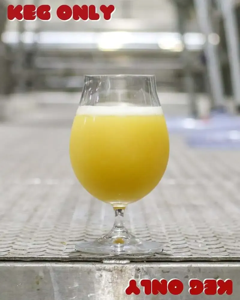 伊勢角屋麦酒がケグ限定『ハットトリックTDH Hazy IPA』を発売