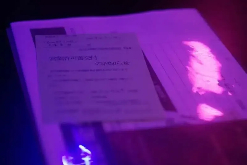 Brewpub Truthが3/26投稿で9タップのラインナップを公開、STONE IPAなど提供