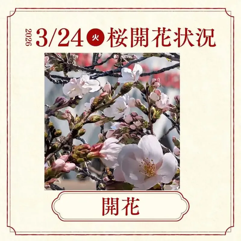 花園クラフトが桜開花を発信、生駒由来の桜ラガー2種を季節提供