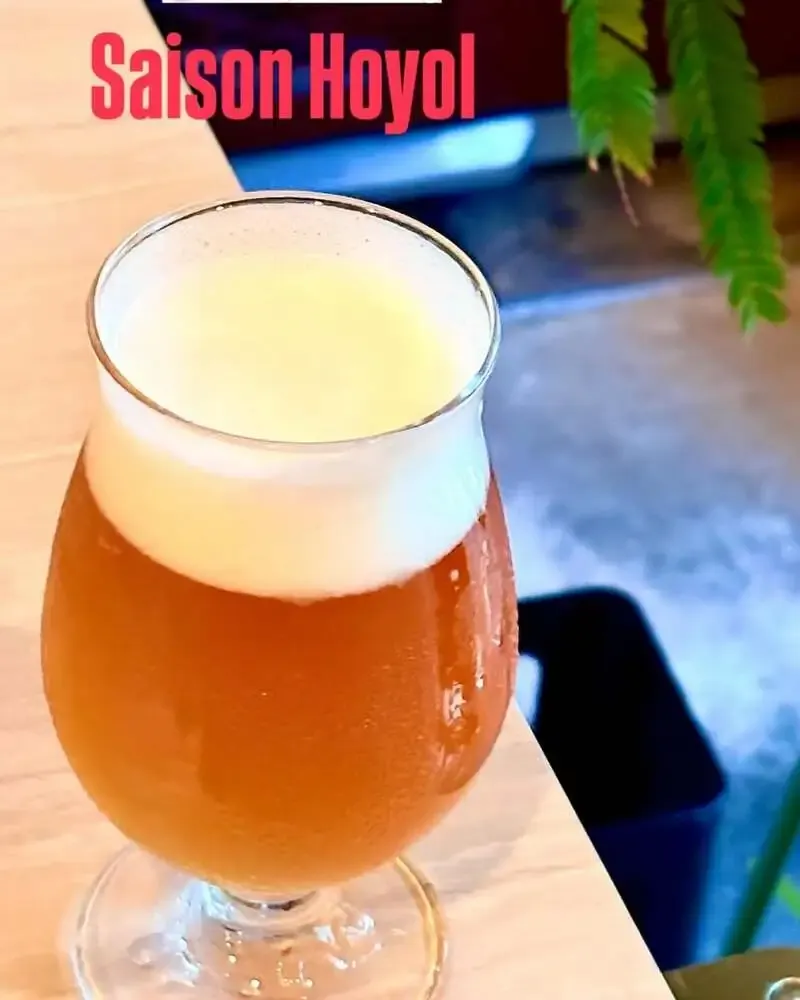 高松・Taru TaruでOHLOY Brewing「Saison Hoyol」が登場