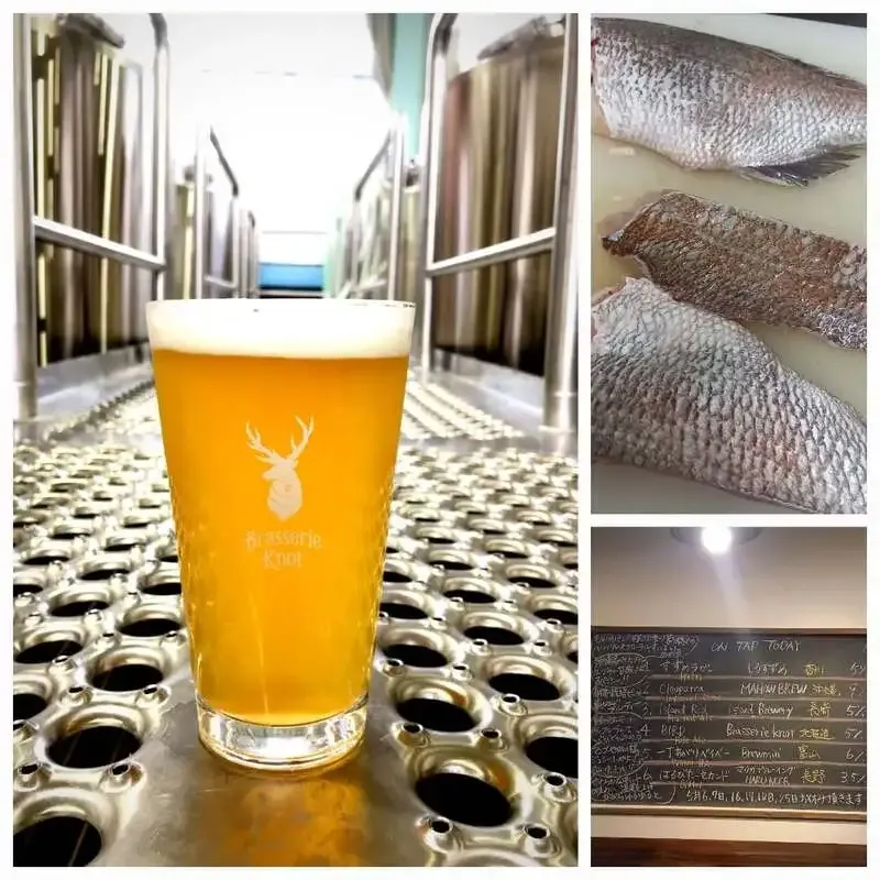 HARU BEERでBrasserie Knot「BIRD」開栓　5月3日は15時開店