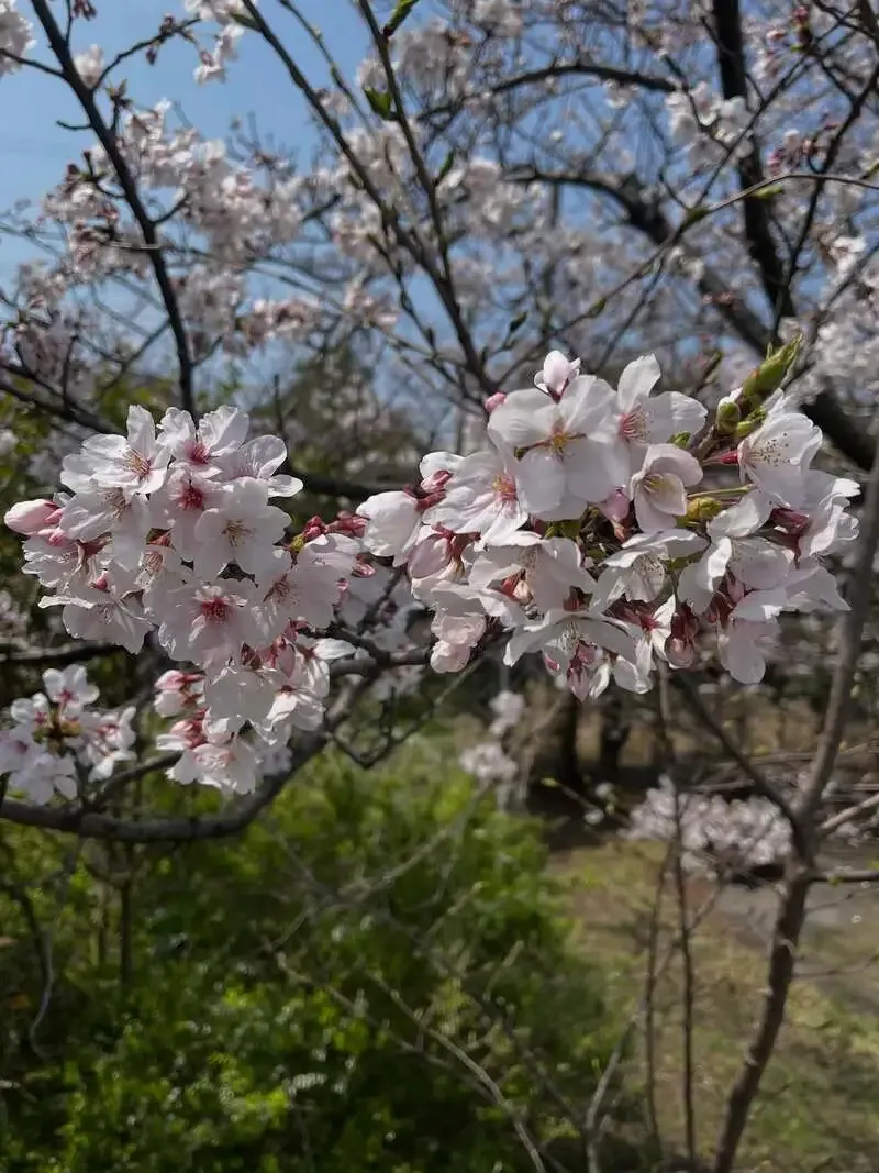 Beer O'clockにワイマーケット「MASTERPIECE EXCEED」が開栓