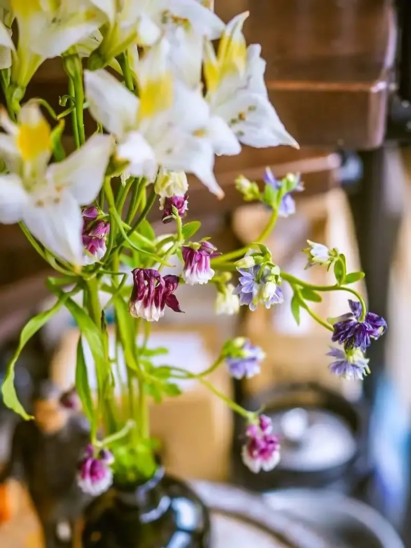 ビアパブイシイで志賀高原ビール「ポーター」など4種が開栓、4種が開栓待ち