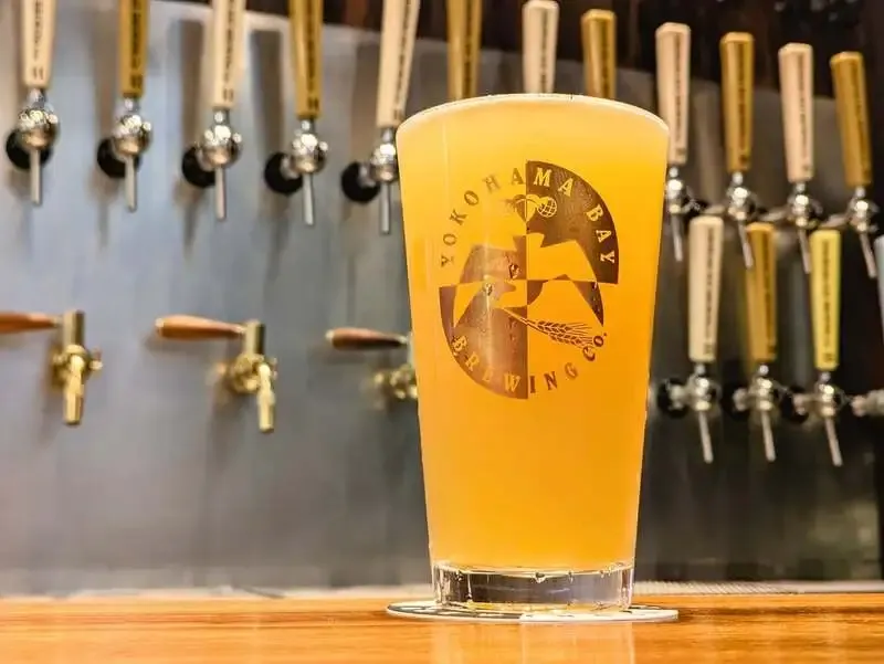 New HAZY IPA "SARA" tapped at Yokohama Bay Brewing Yokohama Front branch; seared bonito and marinated bonito recommended