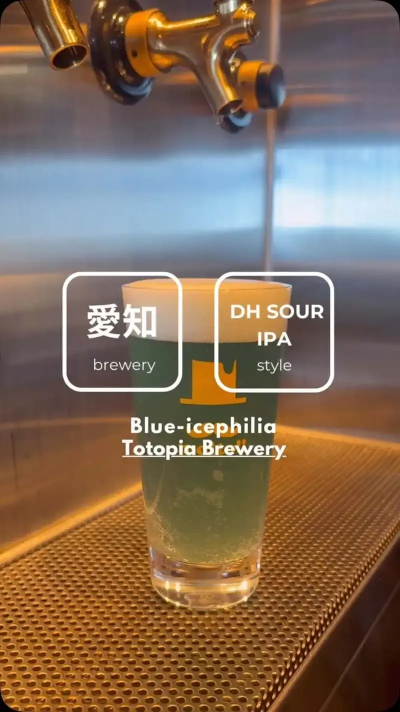 Totopia Brewery Beers Pouring at CRAFT BEER HOUSE molto!! in Umeda