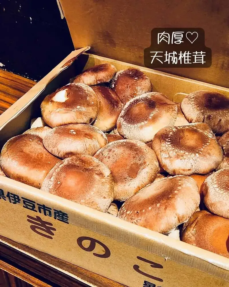 Beer Cafe Gambrinus in Kokubunji Highlights Meaty Amagi Shiitake Mushrooms