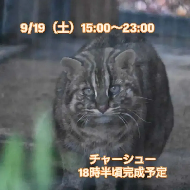 Beer Pub Nekoto Azarashi Open from 3 p.m. on September 19 in Mitaka