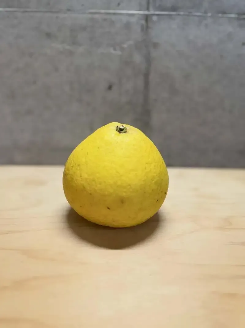 久我山のMountain River Brewery、文旦フルーツエール「Hand over」リリース