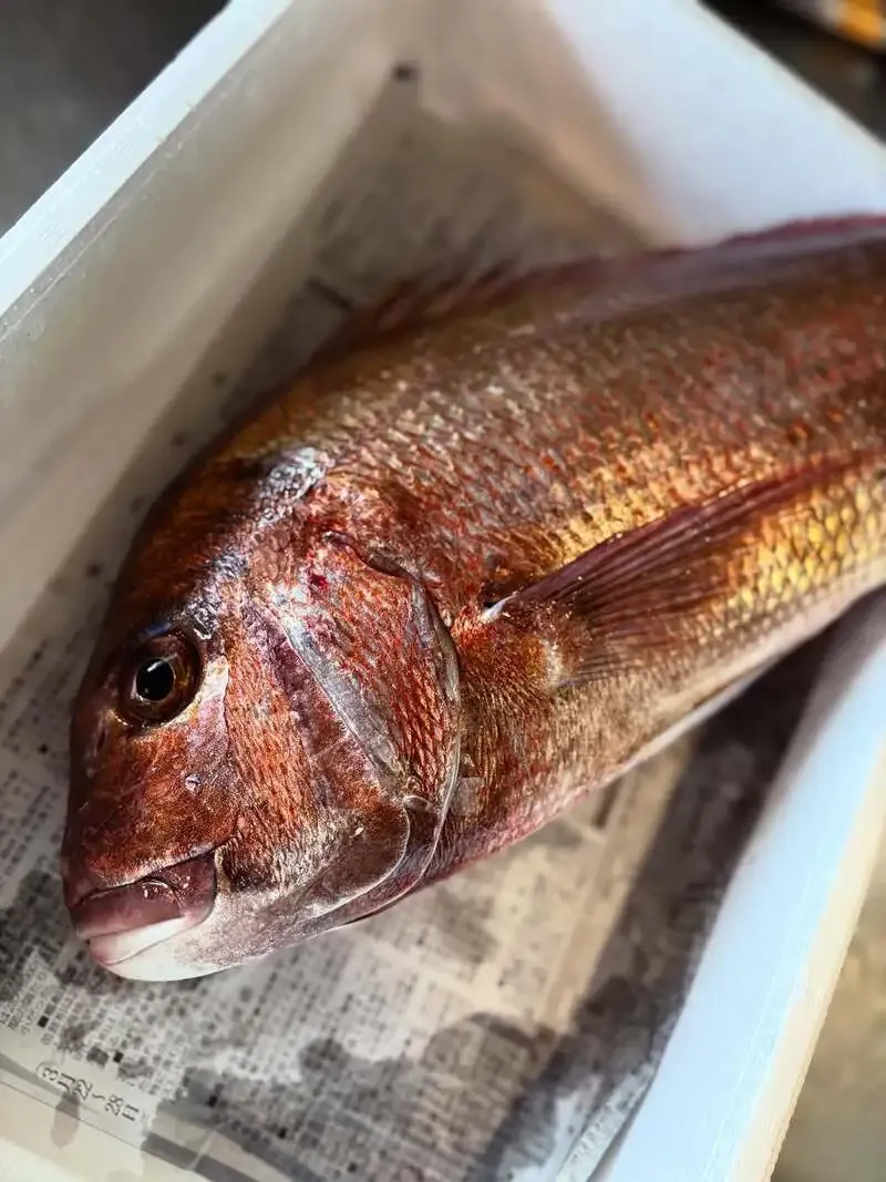 Want a Beer、4月2日タップリストに6種の個性派ビールが並ぶ