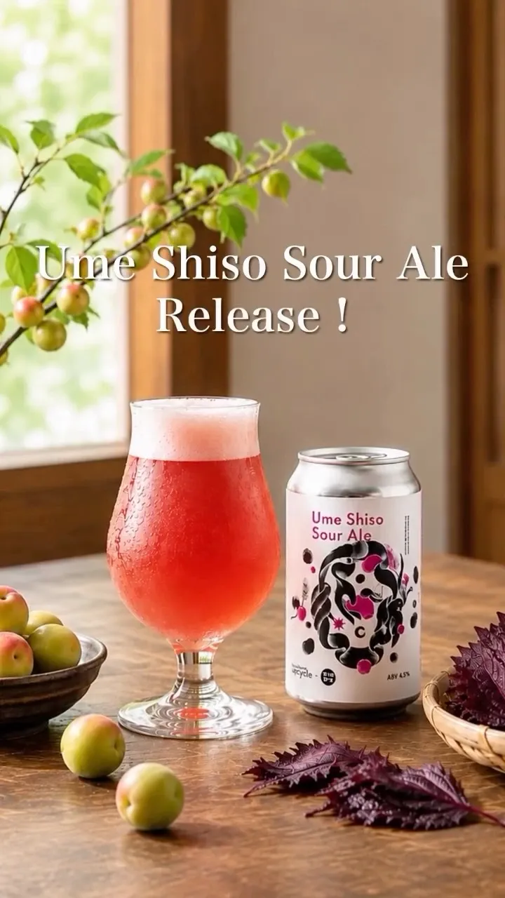 Better life with upcycle、福井の梅と赤紫蘇を使った「Ume Shiso Sour Ale」を発売