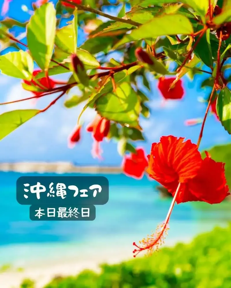 国分寺のBEER CAFE GAMBRINUS、8月15日は沖縄フェア最終日で13種の樽生