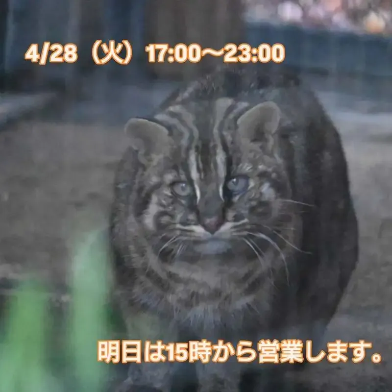 三鷹のBeer Pub ねことあざらし、4/28タップリストに10種を掲載