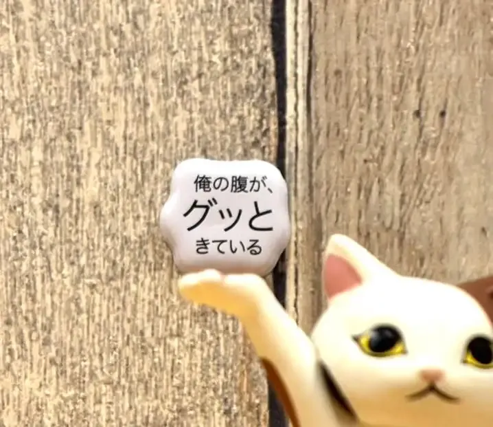 クラフトビアスポット ハトホルで5樽開栓、熟撰や箕面リアルエールを提供