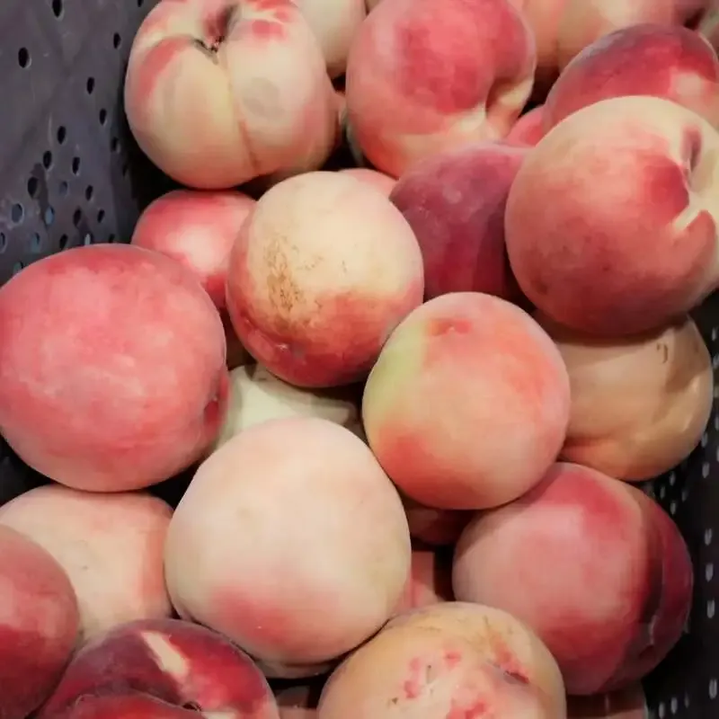 Nagano Minamikaze Beer Shares Peach-Squeezing Brew Day