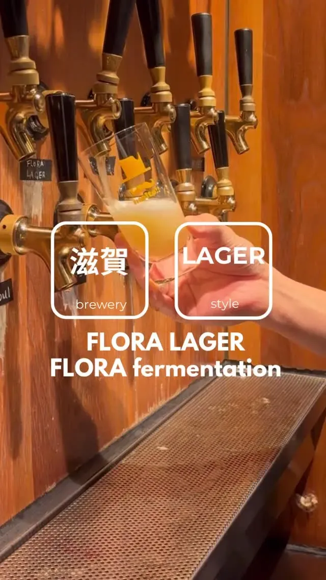 CRAFT BEER HOUSE molto!!にFLORA Fermentation「FLORA LAGER」が到着