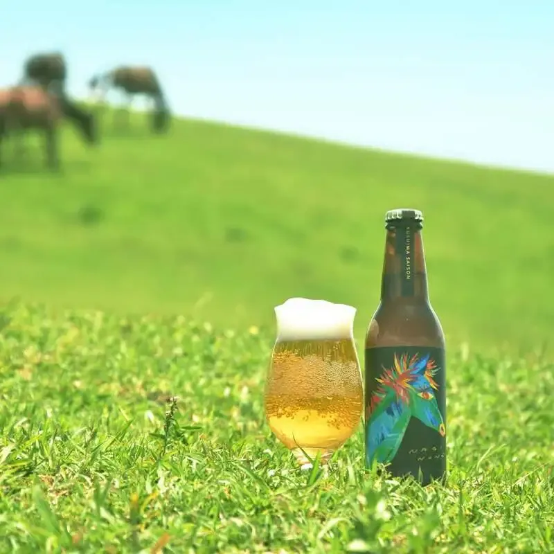凪の音ブルーイング、宮崎県内限定の新作『NAGINONE MIYAZAKI SAISON』を案内