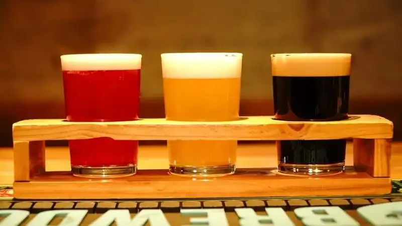 Vector Beer 大森店で10タップ更新、トリプル生や山椒W-IPAを提供