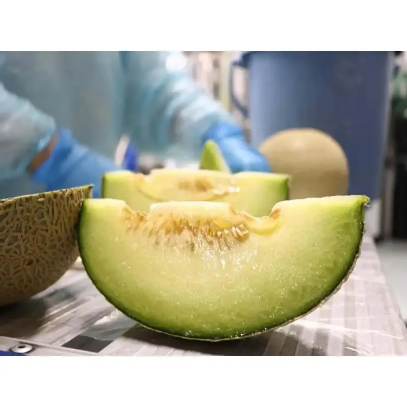 ナミノオトブルーイング、洲本市の&my FARM産「淡路島メロン」を紹介