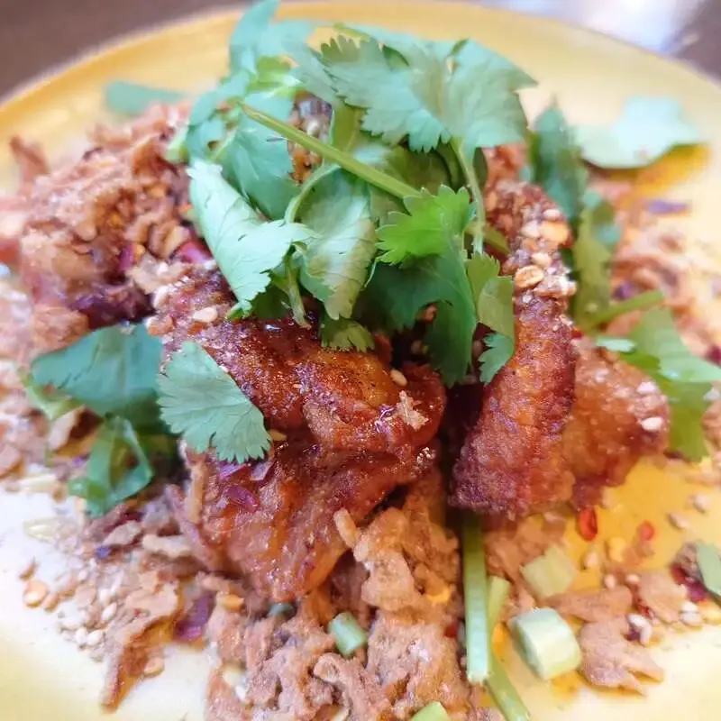 梅ヶ丘「ねこの集会所」がタップ更新、伊勢角やWCBなど6種を案内