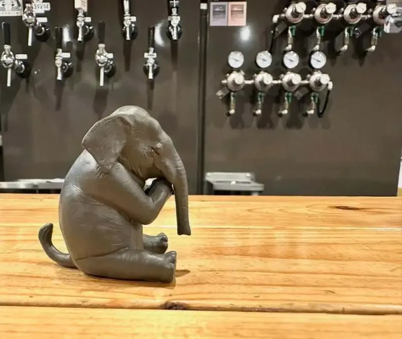 大阪・京橋のハトホル、本日の開栓で7樽を含む12種のドラフトを案内