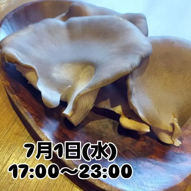 BEER HUNTING URAWA Updates July 1 Taps With Onidensetsu Real Ale
