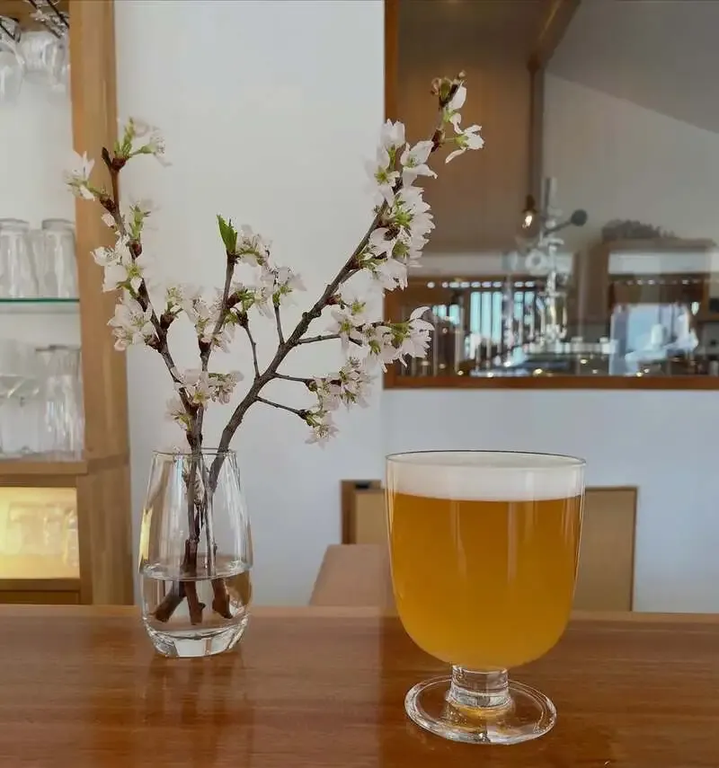 なら麦酒ならまち醸造所、東大寺のソメイヨシノ満開と春のビール案内