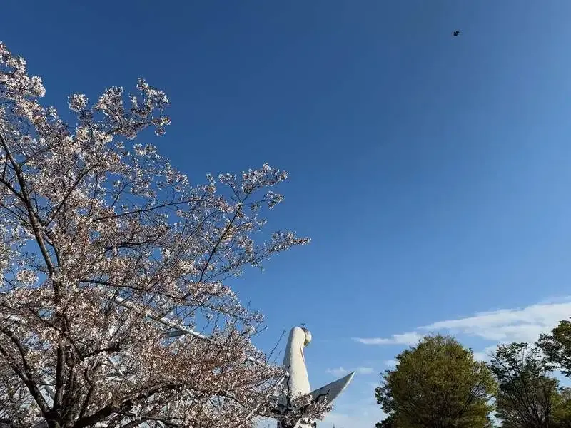 Beer&Cafe Hafenが箕面ビール「ナイスなビター」などを案内、5月9日に13周年祭も予告