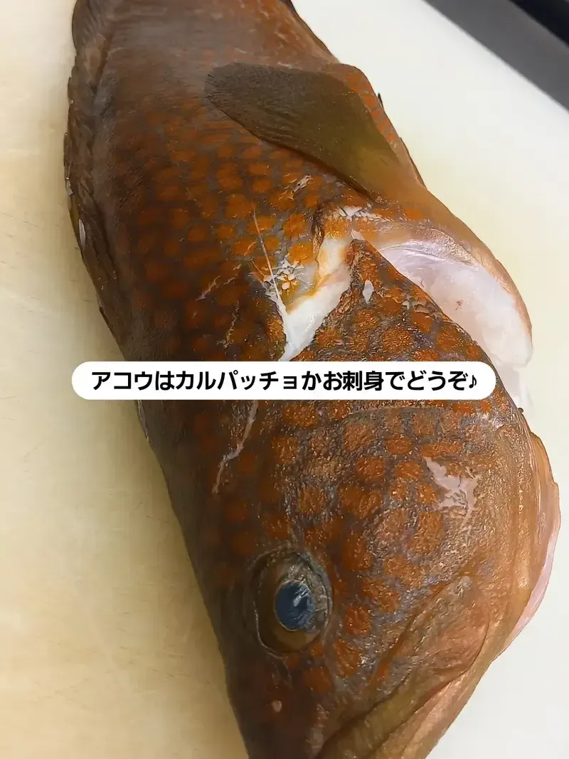 HARU BEER、9月3日15時開店　あおぞらブルワリーの別樽開栓予告